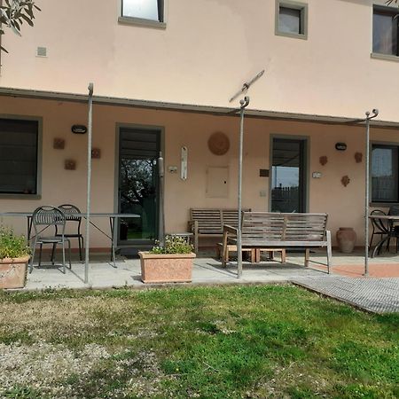 Agriturismo Podere Zollaio Vinci Ngoại thất bức ảnh