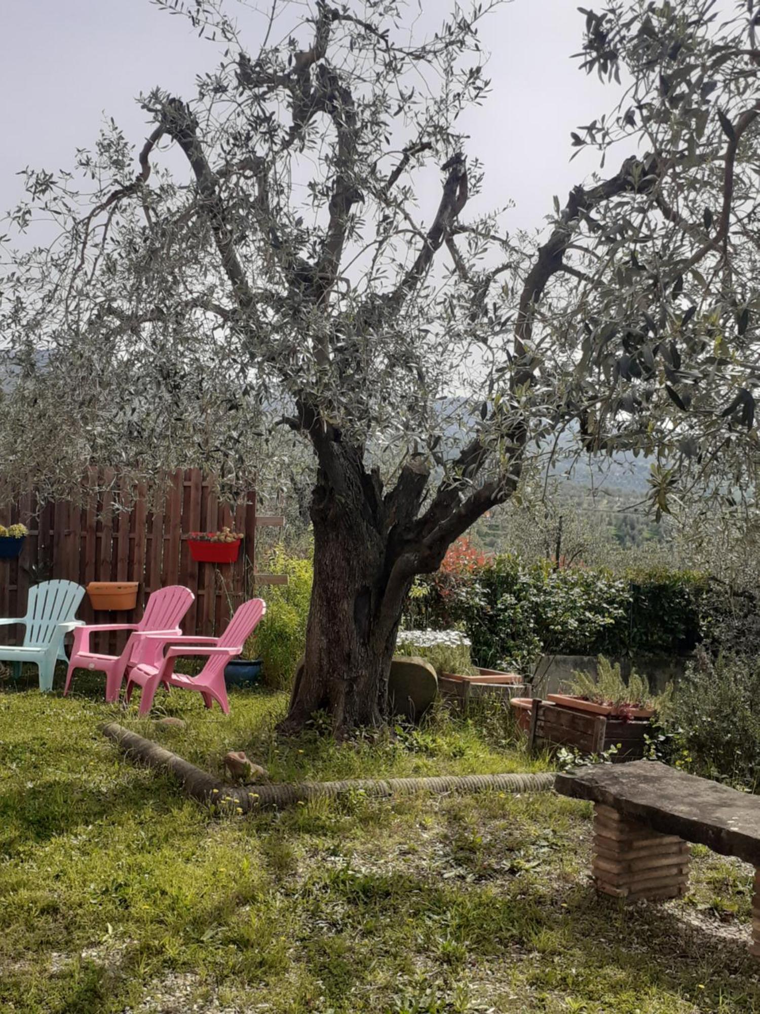 Agriturismo Podere Zollaio Vinci Ngoại thất bức ảnh